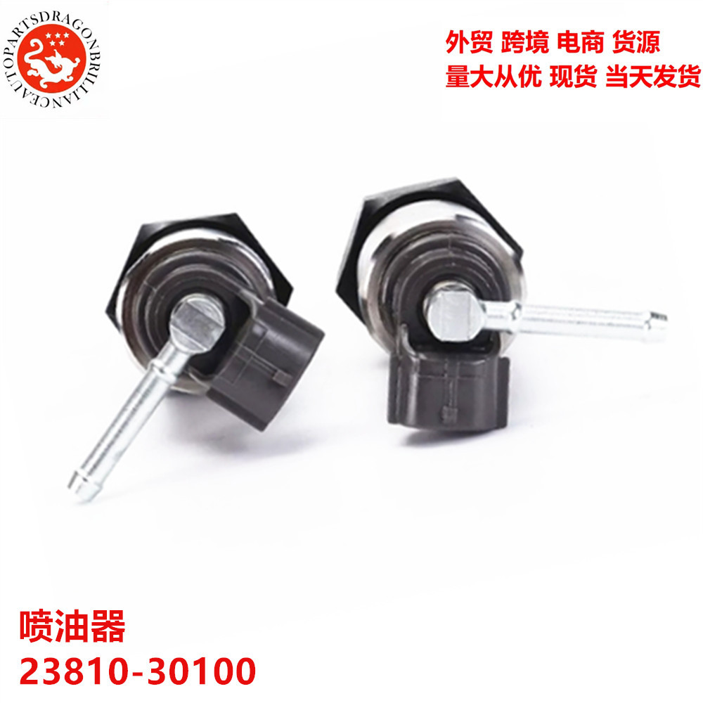 Aplicable al inyector de carril común del motor Toyota Sea Lion Hercules 23810 - 30100 23810 - 30110