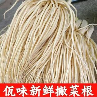 ��ϵº����rƲ�˸��ֲ˸���²˸��������˿�����500�����r�߲�