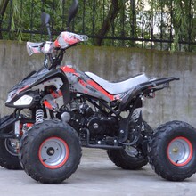 �S��ֱ�N��݆ԽҰ܇ȫ����܇Ħɳ��܇110cc��125cc��150cc