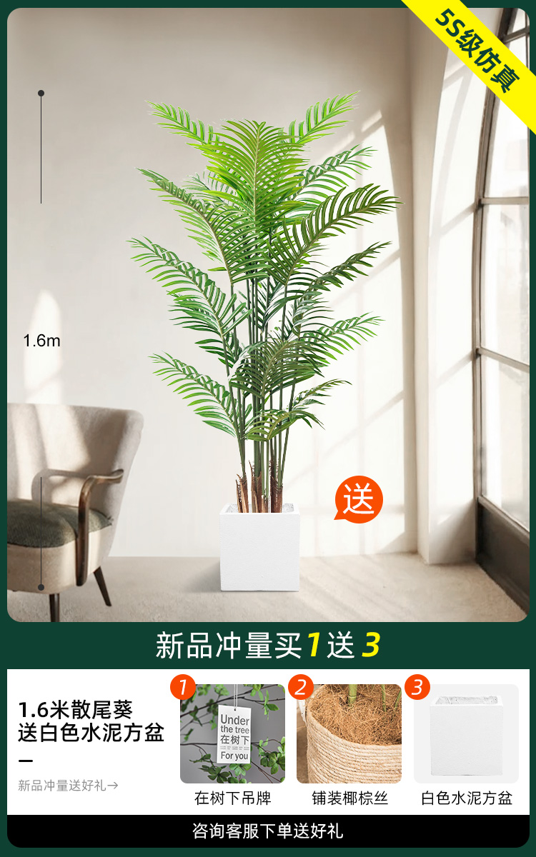 1.6 m 느슨한 말미잘 [백색 시멘트 사각 분지 보내기]]