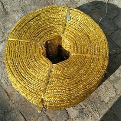Packing rope Gold rope greenhouse Film pressing rope Rope Packing rope Seafood breed
