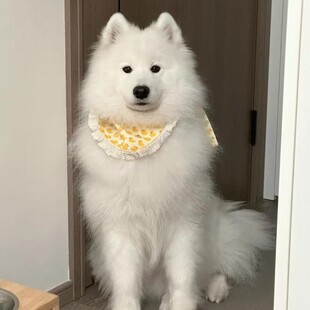 ���N�_ĦҮ��Ȯ���w΢Ц��ʹ�_ĦҮ�ܰ�ѩ��Ȯ�д���Ȯ���B���ﹷ