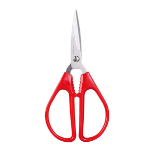 �R�� B2710 С̖���ֱ����� 146mm �t �k�� �Ӽ�
