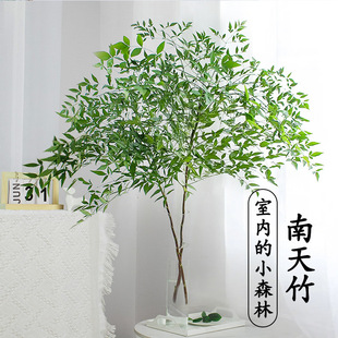Nandina Bamboo Hydroponic Green Plant Flame Red Water Potted Indoor Florals Fresh Cut Branches Hanging Bell Horse Drunken Wood Flat Plant