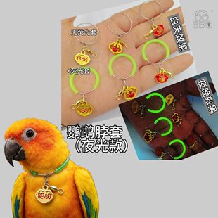 [ҹ��]�¿�p���P��� �W�^С�B�朽�̫ꖲ��׿���С̫ꖲ�Ȧ