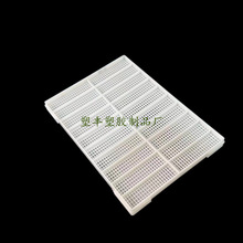 20�l����ϴ�P �횤���۸ߜ���ϴ���ϱP ����Ʒ���������D�P