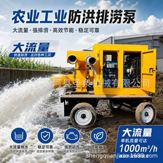源头工厂 12寸移动防汛泵车 大流量柴油排涝抽水机 支持定制