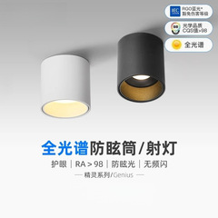 表面実装ダウンライトスポットライトLEDシーリングライト穴なし家庭用ラウンド天井玄関通路寝室メインライトなし