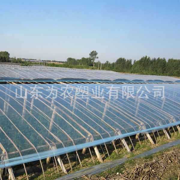 d8303341e33f3b2c4cf9e65ec3c006