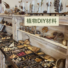 手工diy材料松果干花果实豆荚娃娃材料标本相框材料套装幼儿手工