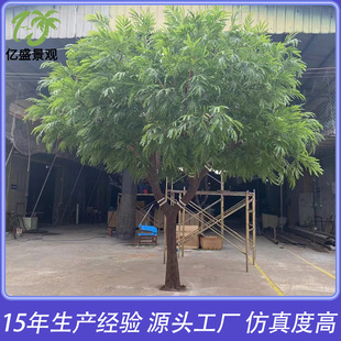 �����ȸ�� �����҃ȾƵ꾰�^�̈�����ٴ�侰�^���� ������ȸľ