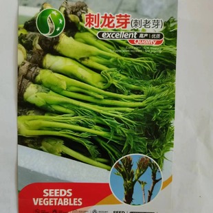 ���r�Gɫ����ѿ�N���B���˷N���̨ͥԺ�Nֲ