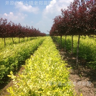 ���ع������~Ůؑ�G����ľ���~ˮ�D����������·�G�h����~ˮϞ��