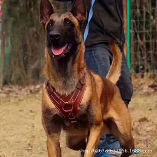 ���N��������Ȯ���w�����RȮ܊��Ȯ�Ѿ�Ȯ�����o�lȮ����Ȯ���ﹷ
