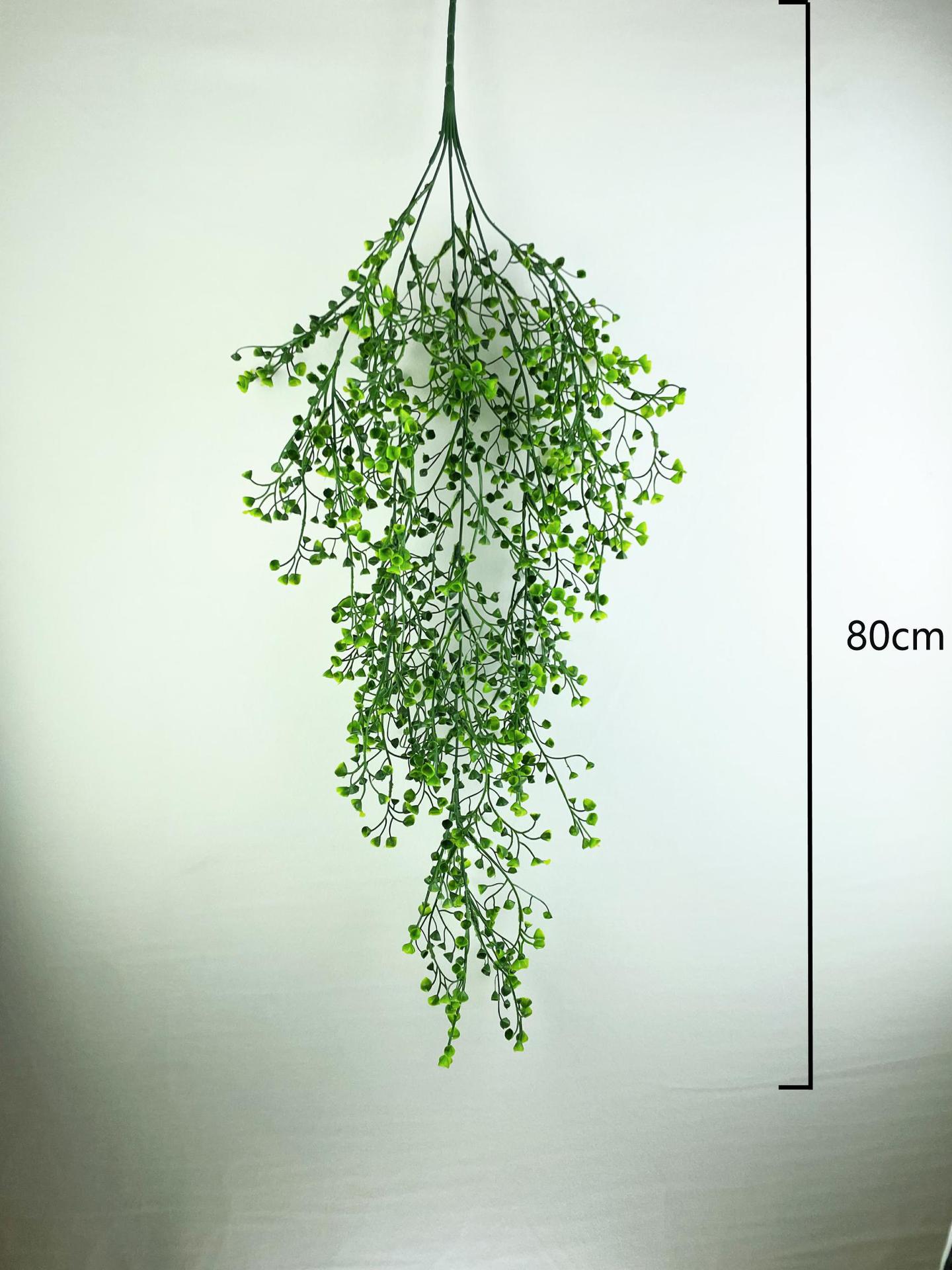 微信图片_20230228193538_毒霸看图