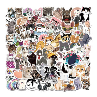 6��Cute cat�ɐ�؈��������~�����֙C��ˮ���^���b��N�����l