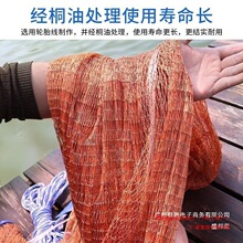 �S��ֱ�N���w�Pʽ���W�A�P�O�W���W�����֒��W�~�Wץ�䲶�~�ג���