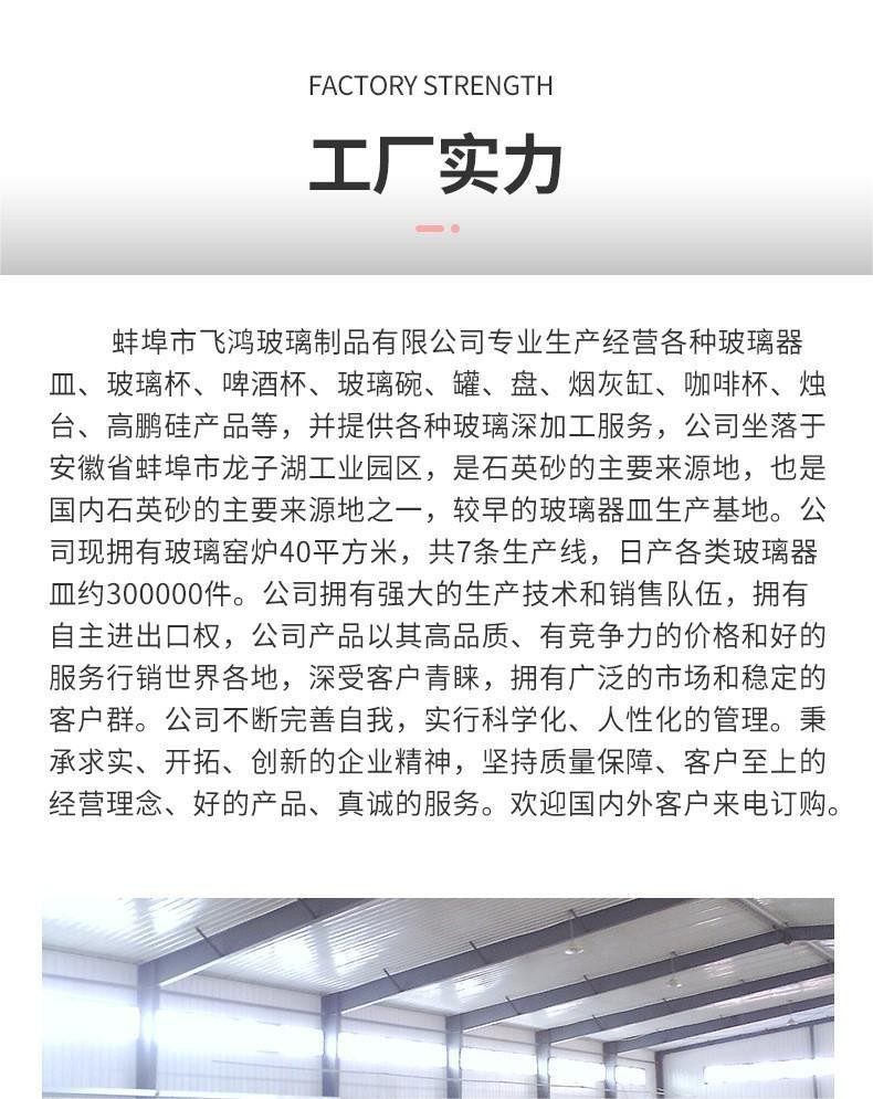 .飞鸿介绍