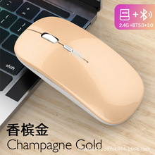 �S��ֱ�N�羳�{��2.4G�����˰l���pģ��늟o���k���̄��o��