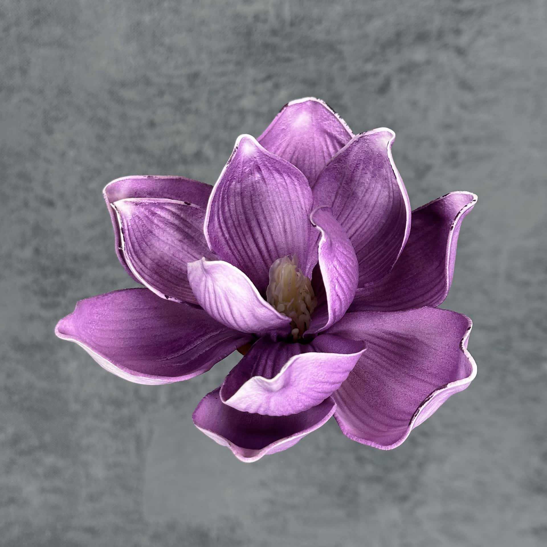 Flor de simulación transfronteriza EVA cabeza de magnolia 13cm tacto tocado kapok decoración decoración decoración flor falsa al por mayor