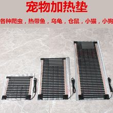 �¿��ӟ�|̼��ʯīϩ늟�Ĥ���x�Ꭷ�~������؈�乷��늟�̺