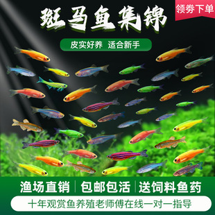 �����~���B�~���ͻ������ˮ�^�p�~С�Ϳ�ȸ���R�~��̖�ᎧԴ�^