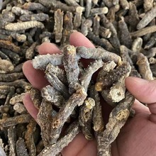 100�^�����؃rB���ڴ�����������؛ɢ�b250g�|���̅�һ��؛Դ