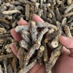 100头左右特价B级黑刺王参海参干货散装250g辽参刺参一手货源