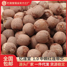 1.0中颗带芯红莲500g散装红莲子批发产地通芯莲子干货厂家