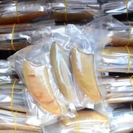 美发梳;经络保健器材;美体瘦身器具