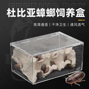 �űȁ������B������x�����S���x����ρ������Bֳ��