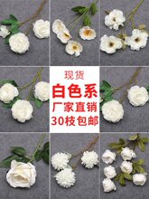 ��c��ɫ�����򻨼ٻ���Y���û�ˇ�廨����õ�廨�b�����