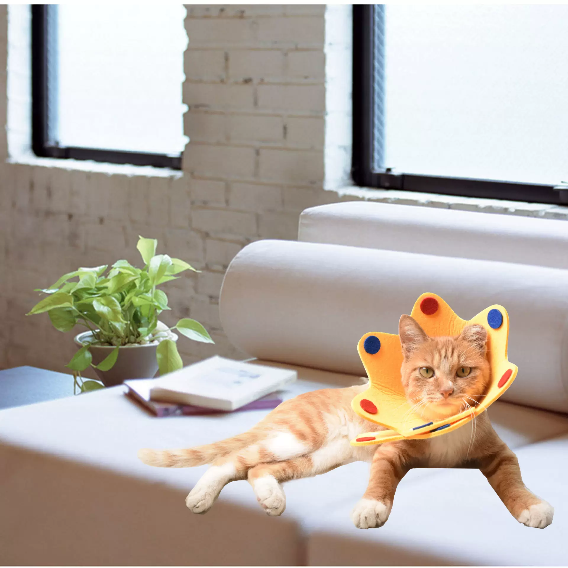 伊丽莎白圈毛毡宠物项圈猫咪轻薄头套术后恢复防舔耻辱可调节项圈