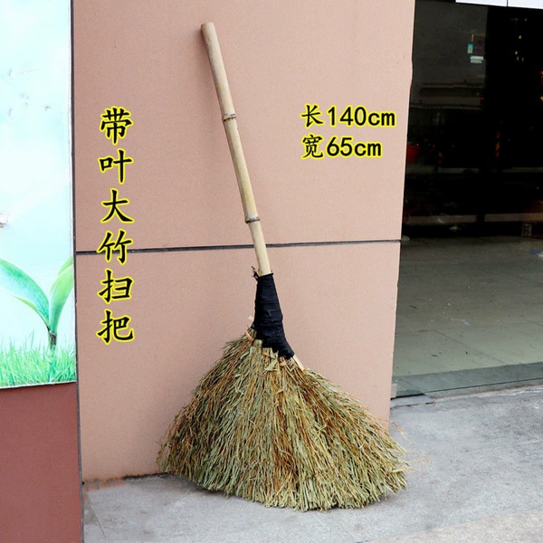 [带叶布条竹扫把]