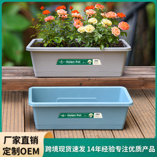 ���S���L���λ􂐻��������̨�N�����������L�l�������ԷNֲ����