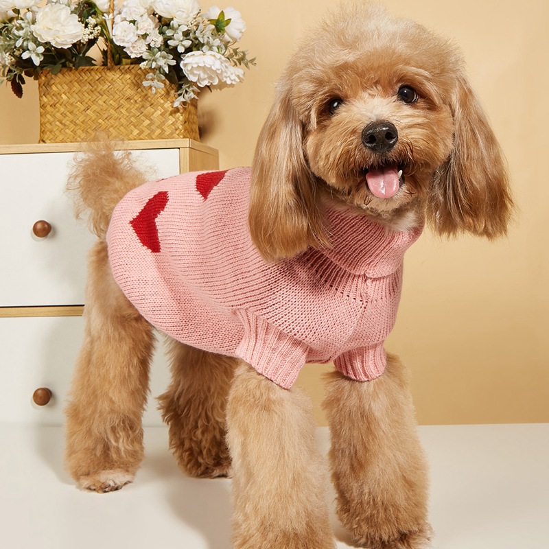 Prinzessin Süß Acryl Valentinstag Herzform Kleidung Für Haustiere display picture 6