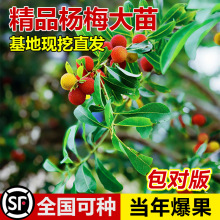 ھƷ|÷箔Yش÷ϱNֲԹ