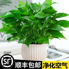 G}Խ荻ܰlؔСGֲˮBk҃ȶֲ՚