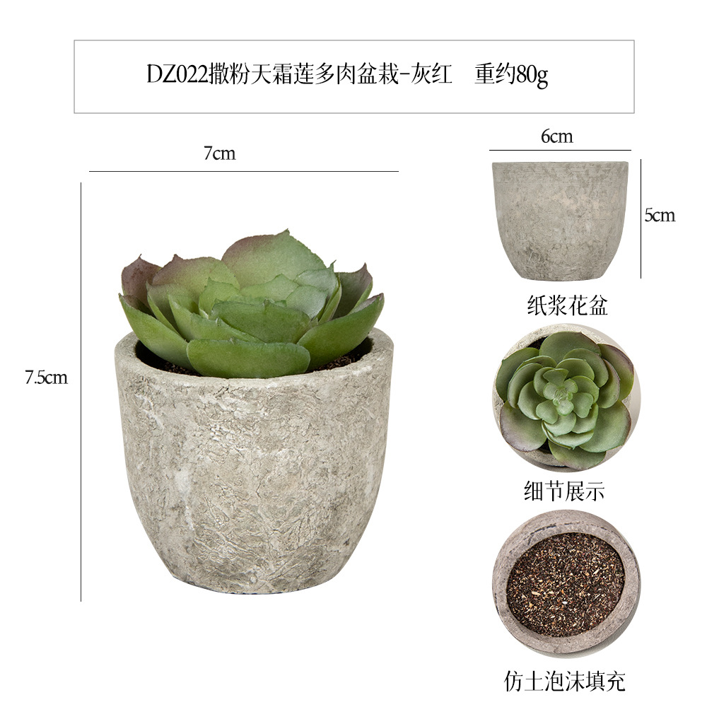 Más de 100 estilos de macetas de pulpa de papel vintage con plantas suculentas simuladas, pequeños adornos populares de estilo jardín para decoración del hogar transfronteriza. image 48
