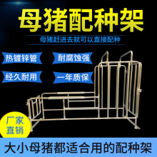 ĸ�i��N���i���ܾ�֧�ܟ���\���͸��g�������Pĸ�i�ھ���N