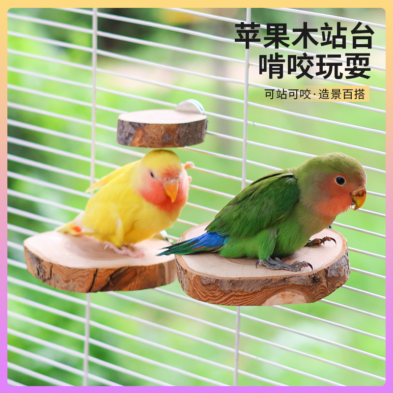 鹦鹉苹果木站台站杆旋转站架果木站架啃咬苹果木磨牙解闷工厂批发