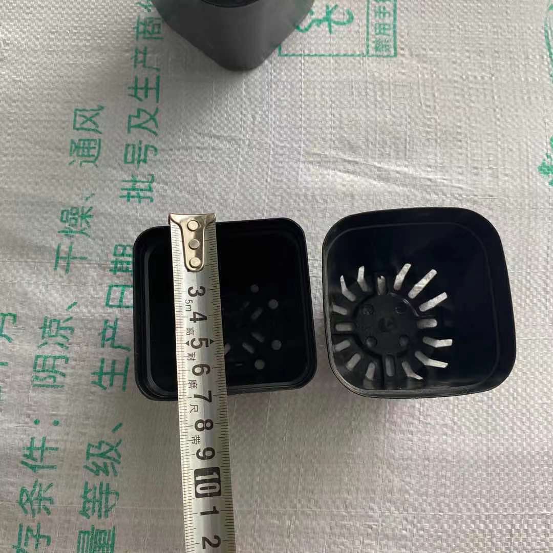 ΢��ͼƬ_202108021606089