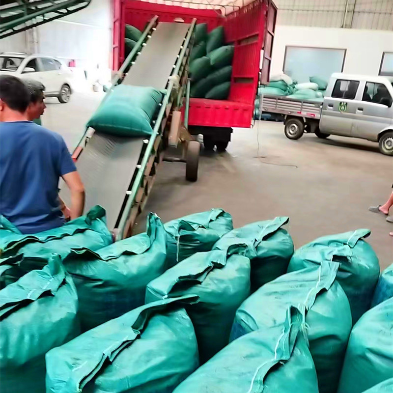 微信图片_20240610101632_副本