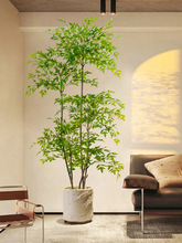 植物南天竹落地盆栽室内大型仿生绿植摆件客厅轻奢装饰花假树