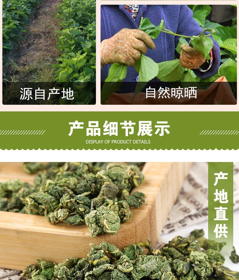 Freeze-Dried Mulberry Leaf Tea Sang Ye 500g Post-Frost Dried Mulberry Leaves for Daily Herbal Infusion in use