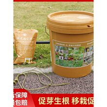 国光树木营养液吊针袋输液袋果树桂花树移栽通用生根剂大树营养液