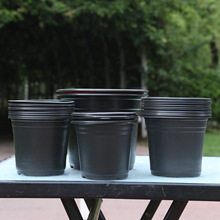 ���]һ�����l�羳��4Ӣ���ɫ�pɫ������һ����5Ӣ���ɫ������