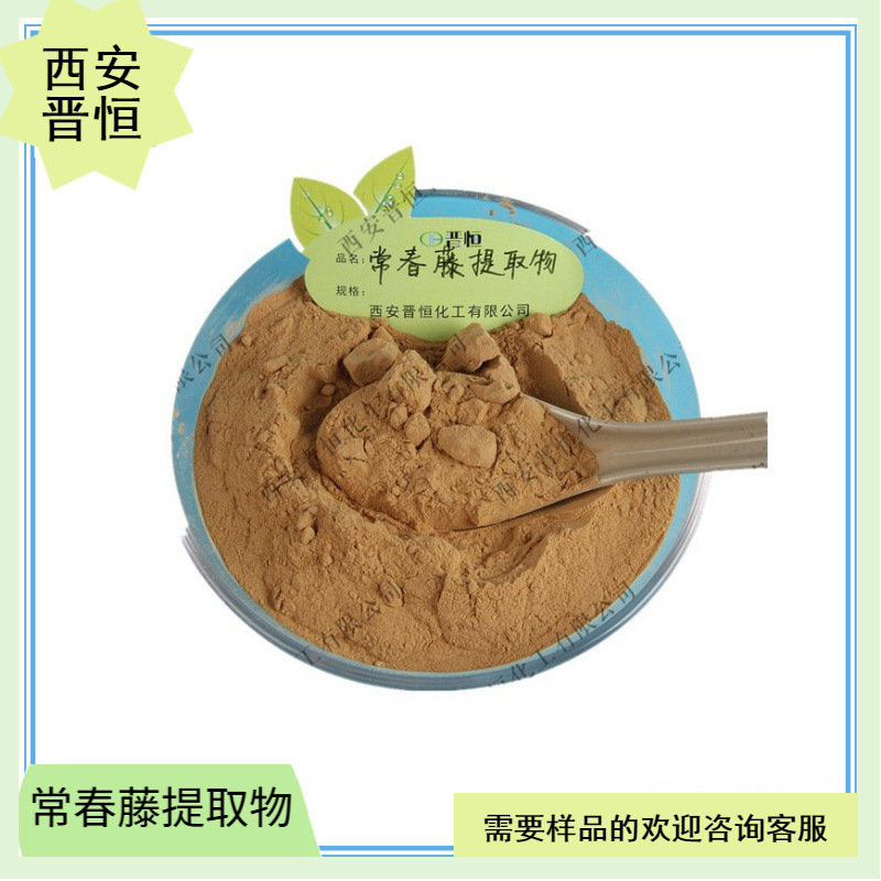 常春藤提取物比例提取水溶 常春藤粉末   现货