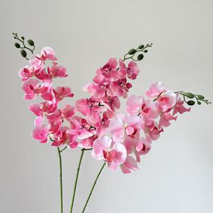 9�^�����m���滨�ָи߼��б���ٻ��m��ˇ�������þƵ��c�û�