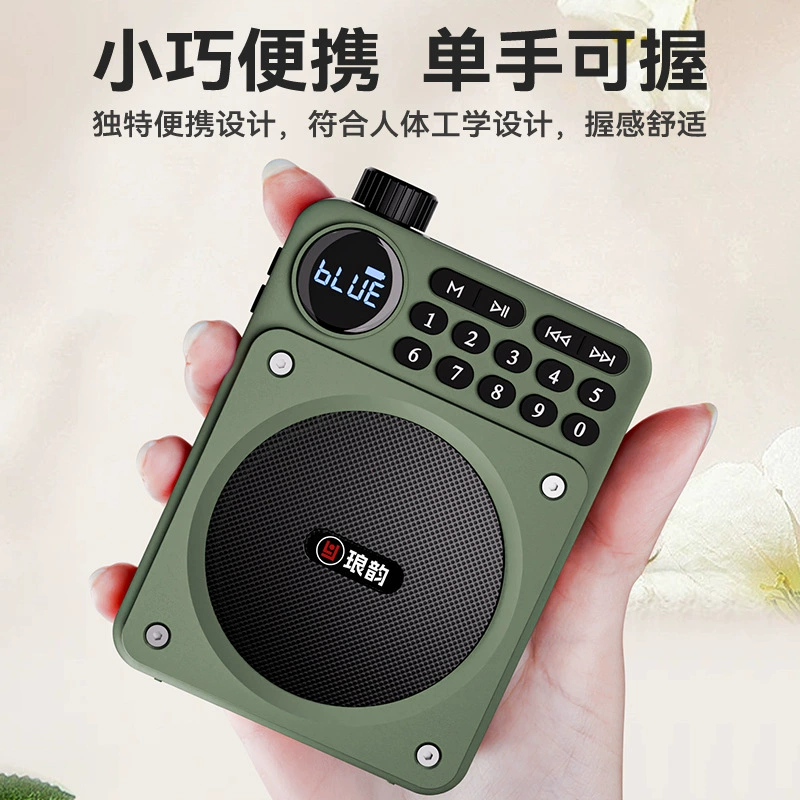 Ручной USB-накопитель для пожилых 琅韵, модель C65, Bluetooth